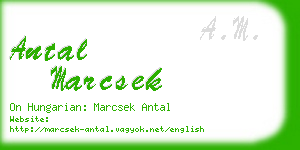 antal marcsek business card